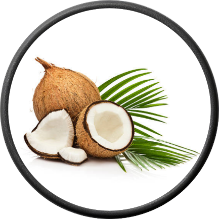 Fresh Coconut